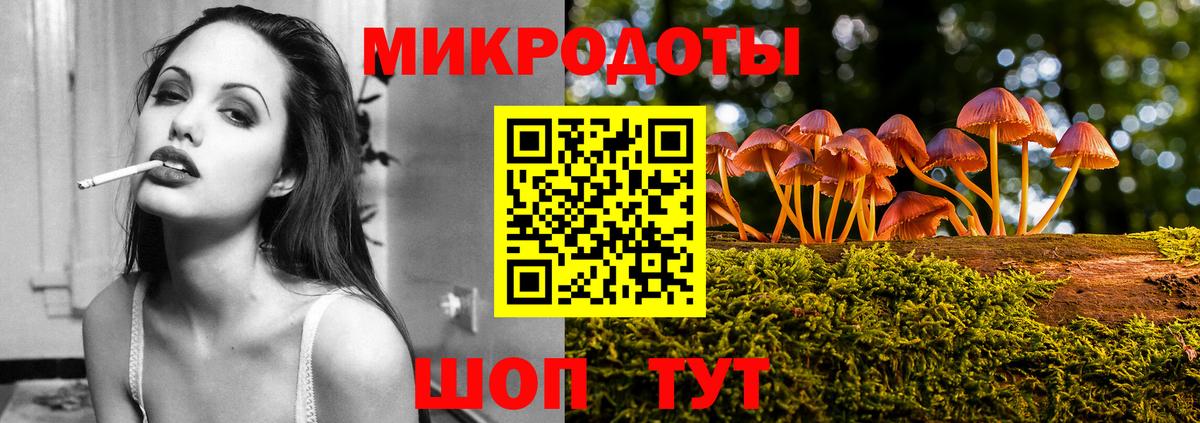 Псилоцибиновые грибы Psilocybe Тулун